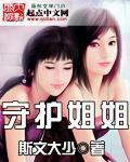 将军小姐的太子殿下